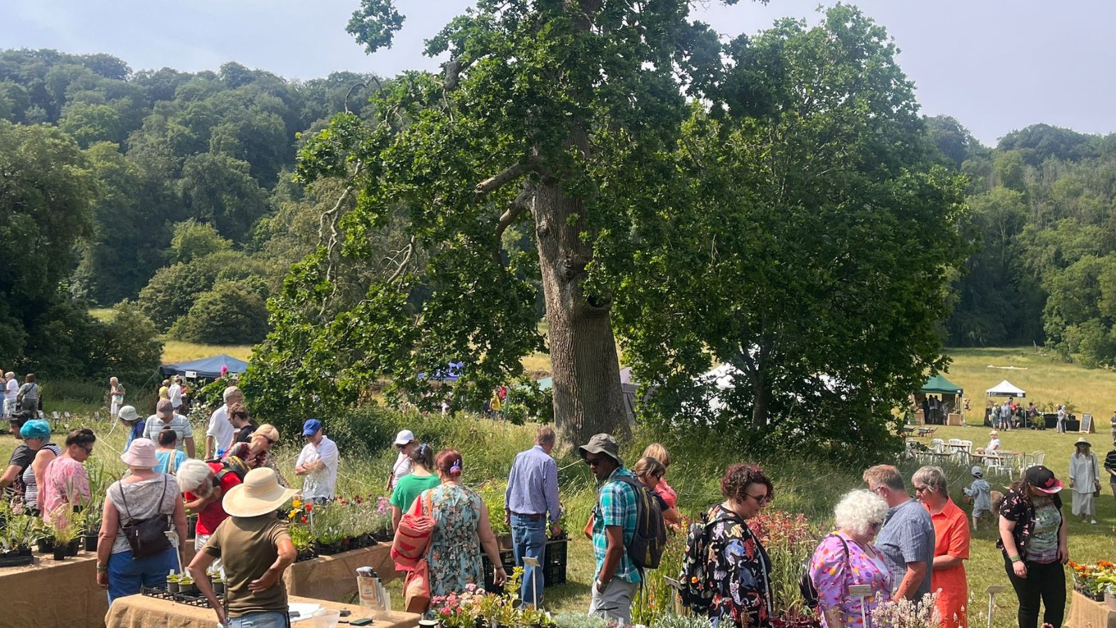 Plants Fair